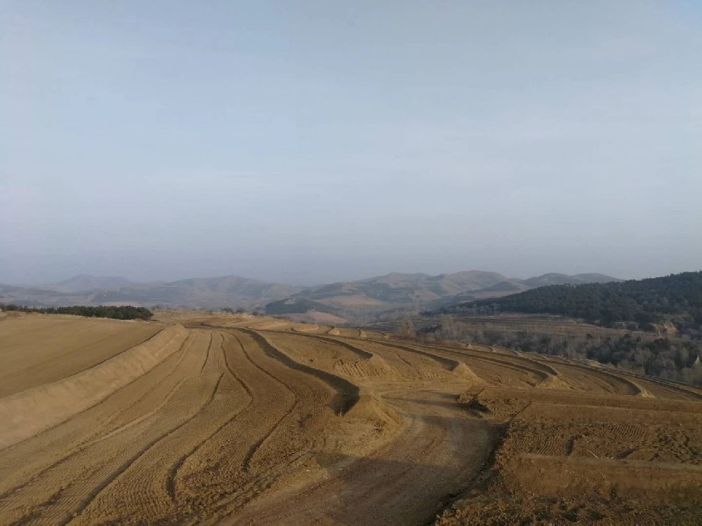 敖漢旗千億斤糧食增產(chǎn)項目坡改梯