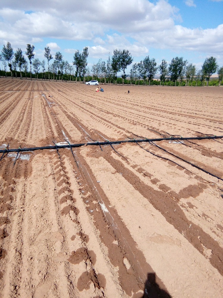 通遼節(jié)水灌溉工程